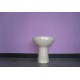 Bidet Champagne Elite Cesabo