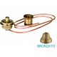 Completo catis mini in ottone bronzato