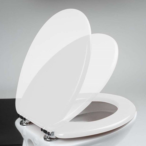 SEDILE WC COPERCHIO Wc Sedile Wc Coperchio Bagno Coperchio Con