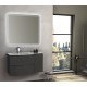 Mobile da Bagno Sospeso 104 cm Antracite con Lavabo e Specchiera 