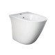 Sanitari sensation con fissaggio nascosto di Rak Ceramics Filomuro Vaso + Bidet in Ceramica Bianco Lucido