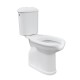 Vaso e cassetta monoblocco per disabili scarico a muro altezza 50 cm.